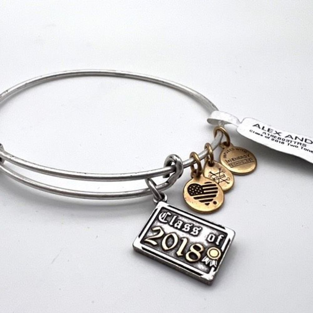 NWT Alex and Ani Class of 2018 Charm Bangle Bracelet Rafaelian silver tone